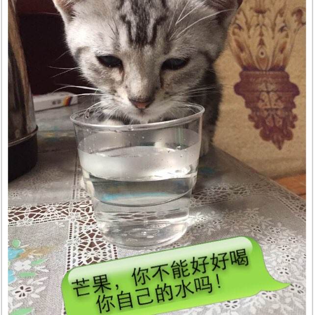 注册安全工程师继续教育/证书哪里可以做